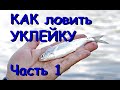 Как ловить уклейку на фидер. Оснащение на уклейку. Часть 1