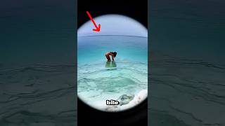 Ölü Deniz’in Sırrı 🧂Neden Bu Suda Batmak İmkânsız? (DEAD SEA)