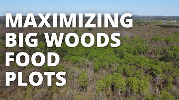 How I Make My Big Woods Food Plots Browse Resistant