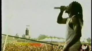 Sevendust Headtrip Live at Woodstock DvD Rip