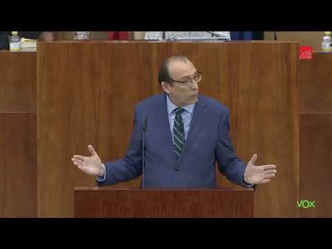 Intervención de IGNACIO ARIAS sobre LEY DE PROTECCIÓN A LA INFANCIA