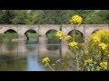 Shugborough's Kingfishers