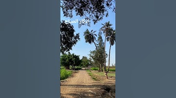 اذكار الصباح