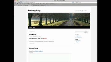 WordPress Training - Creating Your First Post