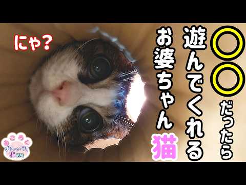 ねころく様 Nekoroku - YouTube