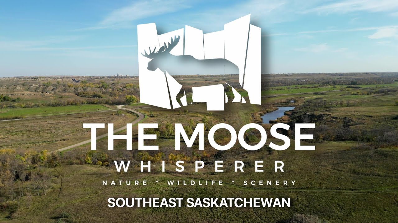 The Moose Whisperer: Southeast Saskatchewan