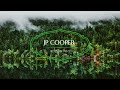 JP Cooper - The Reason Why ft. Stefflon Don, Banx & Ranx lyrics