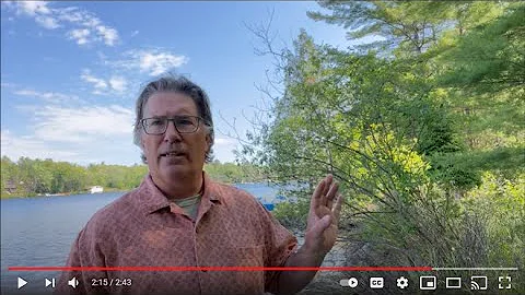 Healthy Shorelines = Healthy Lakes!