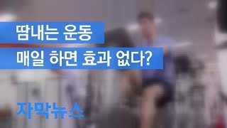 [자막뉴스] 땀내는 운동, 매일 하면 효과 없다? / KBS뉴스(News)