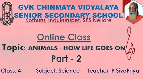 GVKCV ONLINE CLASS: ANIMALS: HOW LIFE GOES ON PART 2 (CLASS 4 SCIENCE)