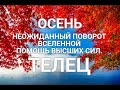 ♉ТЕЛЕЦ. 🍂💛 ОСЕНЬ 💛🍂 НЕОЖИДАННЫЙ ПОВОРОТ↪ ВСЕЛЕННОЙ. ПОМОЩЬ 🙏💖 И ПОДАРКИ 🎁ОТ ВЫСШИХ СИЛ.