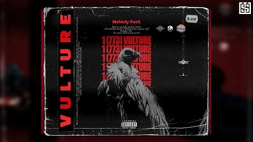 [FREE +8] LOOP KIT / SAMPLE PACK 2021 - "VULTURE" (Dark, Cubeatz, Pvlace, Pyrex Whippa)