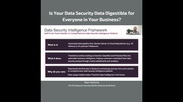 What exactly is Seclore’s new Data Security Intelligence Framework?