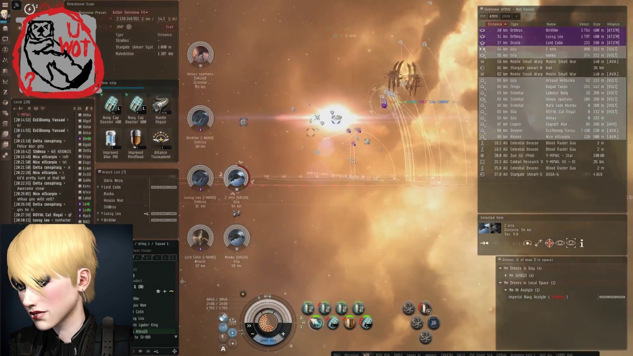 DualBoxing (Ceptor + Logi)