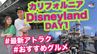 LA旅行 ディズニーランド1日目】アーリーエントリーでSTARWARSエリアへ