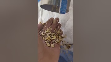 Trieur optique pour le tri du blé, des céréales, des haricots dans les fermes biologiques en France.
