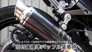 LCIショートカーボンマフラー （SV650 2016〜 LCI ショートカーボン 