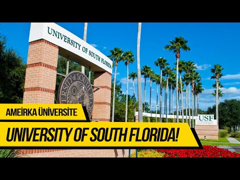Video: Güney Florida'da Yapılacak Ücretsiz Şeyler