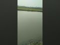mera sosural Gao ke kubsurot wadiyan#youtubeshorts#romanticvibes#shortvideo#oldsongshind