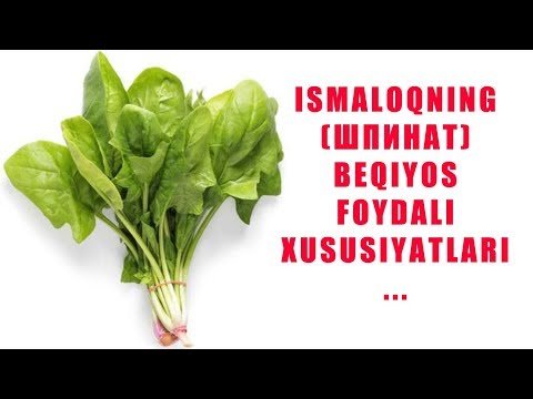 Video: Ֆոմոզ սամիթ