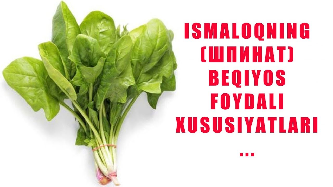 Исмалок на русском перевод и рисунок трава