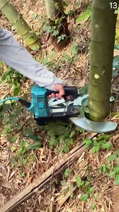 Alat inovasi canggih untuk memotong bambu dengan cepat dan mudah #shorts