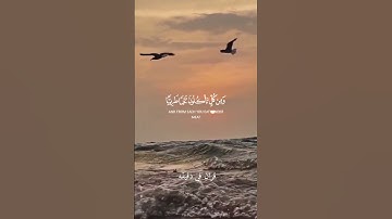 قران كريم ارح قلبك وسمعك #قران_في_دقيقة #ياسر_الدوسري #quran #المصحف #قرآن @قران_في_دقيقة