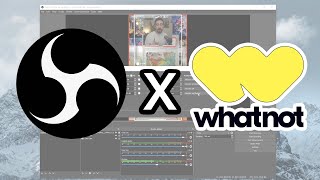 How to use OBS on Whatnot