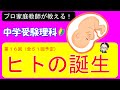 【中学受験理科】ヒトの誕生！生命の神秘を超分かりやすく１５分で解説！【ゼロから始める中学受験理科 第１６回】