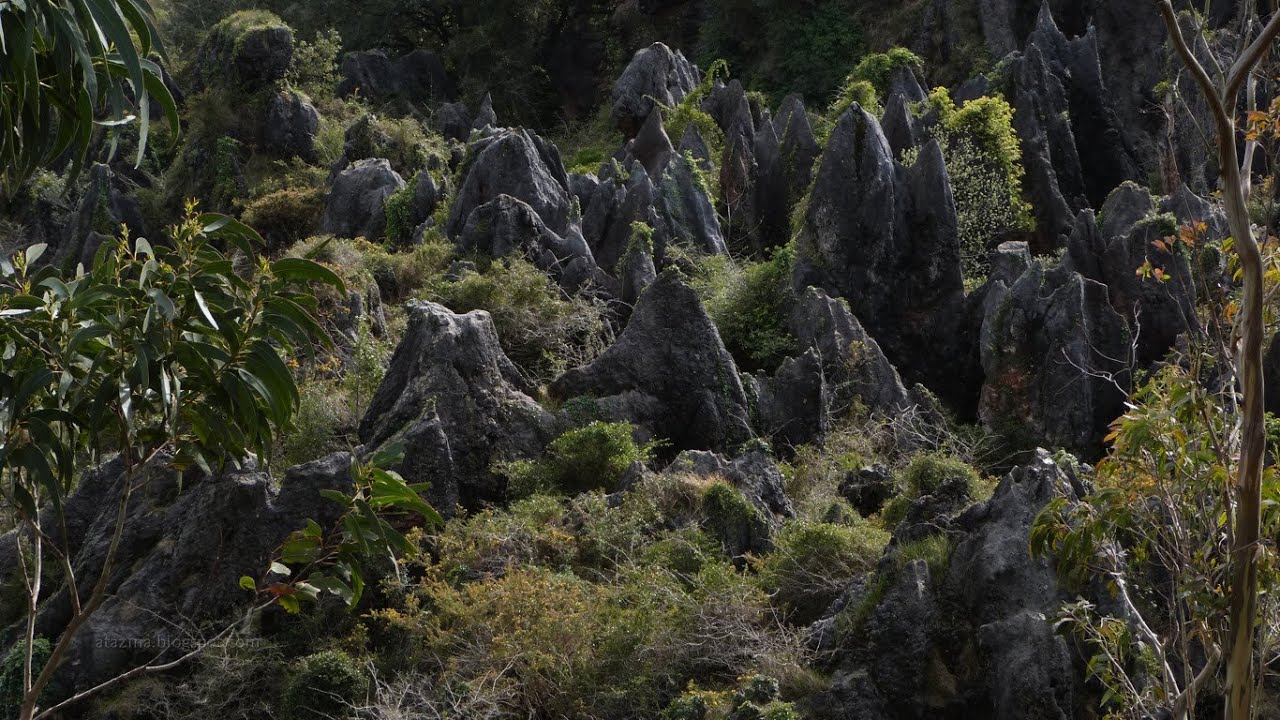 Sierra de Peña Cabarga - Castro Castilnegro (Cantabria)