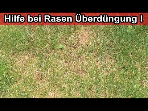 Video: Überdüngung im Garten - Was tun bei Düngerbrand?