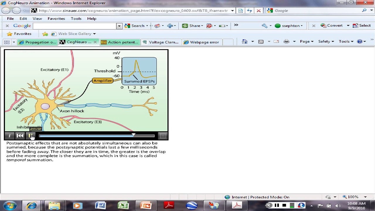 6. The Action Potential - YouTube