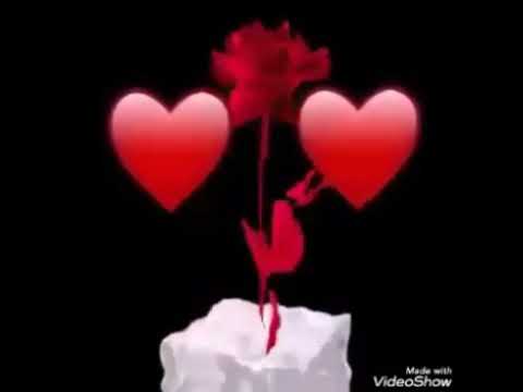 ሠይድ አባተን ጋበዝኳችሁ አባቴን አሰታወሰኝ ያንድ ሴት ልጂ አባት ደመቅየ ጎጂ አለ እሰኪ ተጨመራ አባታችሁ እዚህ ዉሰጥ ካለ ዘና በሉ