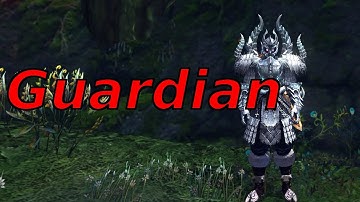 C9 Skillbook Showcase - Guardian new Raebin Extreme books