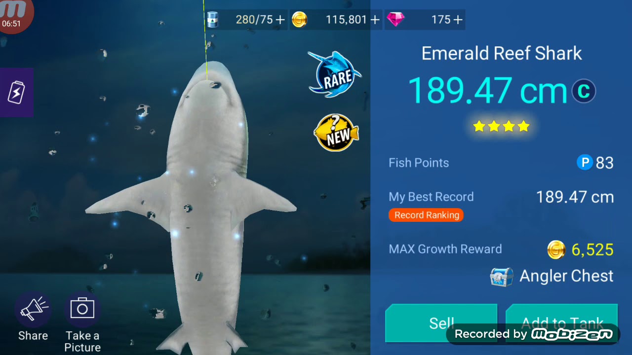 Pescano tubarão (FISHINGSTRIKE)