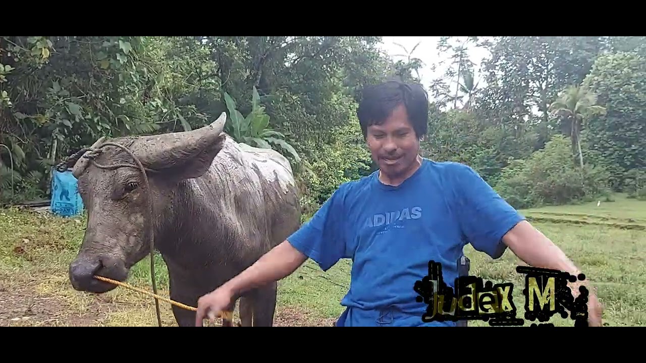 trabaho ito nang mga magsasaka,at ang mga magsasaka lang ang my Alam nito|judex m Millendez