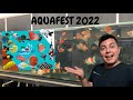 Aquafest 2022 | lo mejor del evento