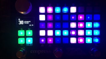 Empress ZOIA patch walk-through:  "airport loops -- four unsynchronized loopers for experimentation"