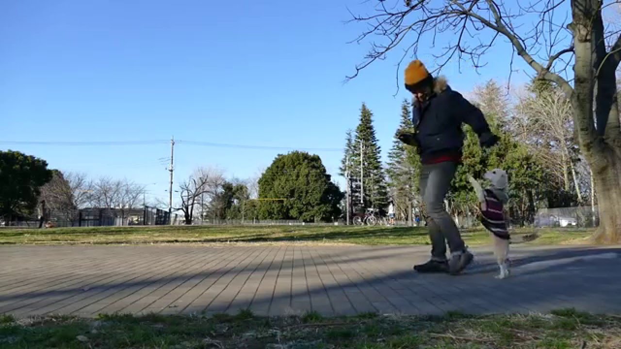 スーパービーグル プリン "Purin the Super Beagle" #52