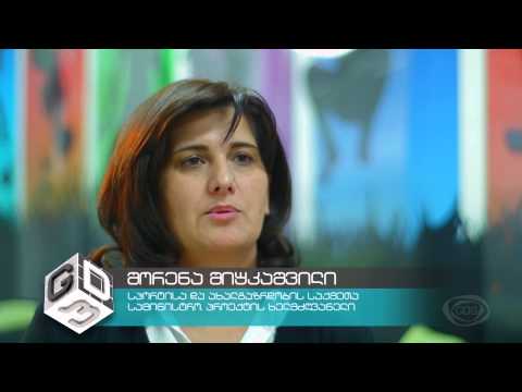 GD პედია - სოფო კიკვილაშვილი - როგორ ავირჩიოთ პროფესია