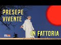 Il Presepe vivente è alla Fattoria Zivieri