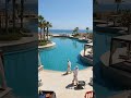 Disgusting Pool Transformation Will Shock You #satisfying #pooltok #beforeandafter