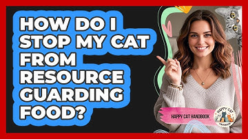 How Do I Stop My Cat From Resource Guarding Food? - Happy Cat Handbook