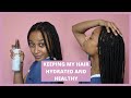 HOW TO MOISTURIZE NATURAL HAIR IN BOX BRAIDS FOR HAIR GROWTH
