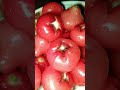 #roseapple #jambufruit #freshfruit#srilankafood #fruitlover #healthyfood #healthy#naturefood
