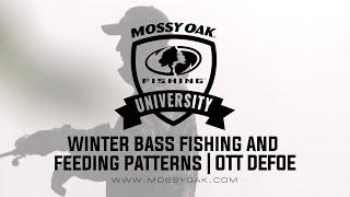 What Do Bass Eat in the Winter   Ott DeFoe Fishing Tips