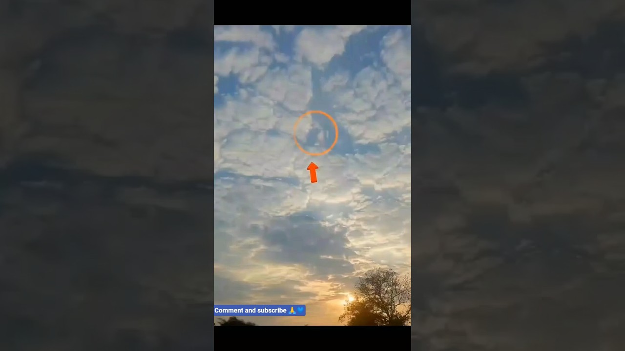 Dr. babasheb ambedkar stats