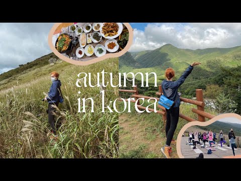 autumn in korea 🌾 hiking in ulsan, making makgeolli, mountain top yoga, my life in korea VLOG