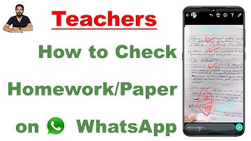 How Can Teacher Check Students Assignment Homework on WhatsApp & Response to Students