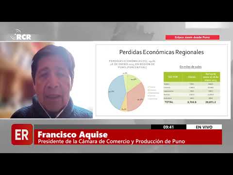 PERDIDAS ECÓNOMICAS  POR LA PARALIZACIONES EN PUNO